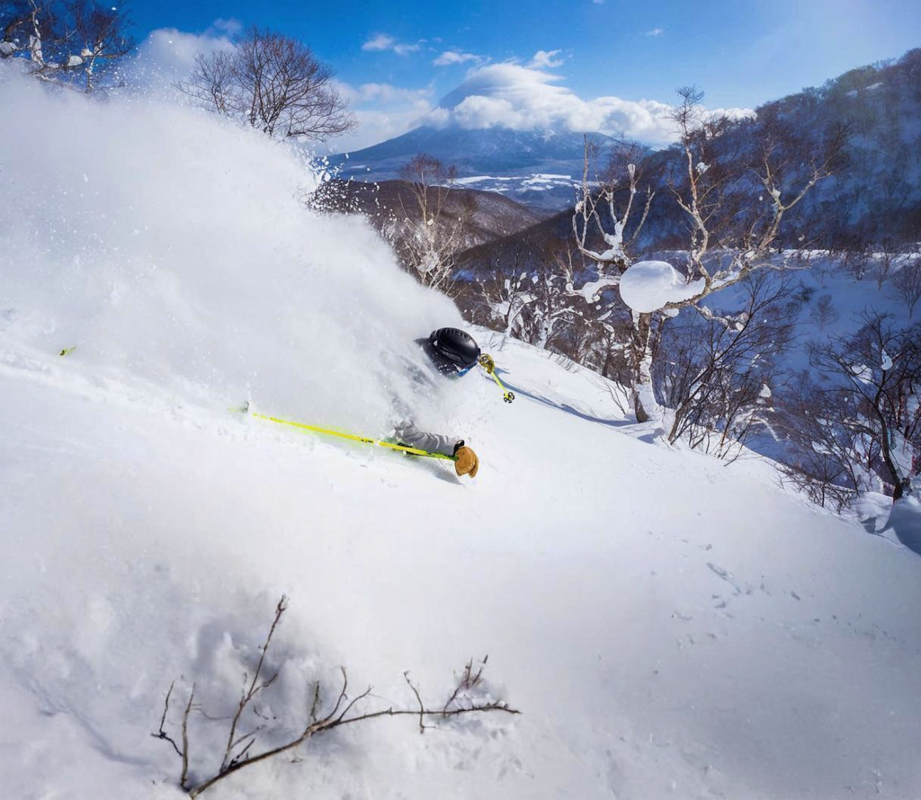 Downhill skier (image)