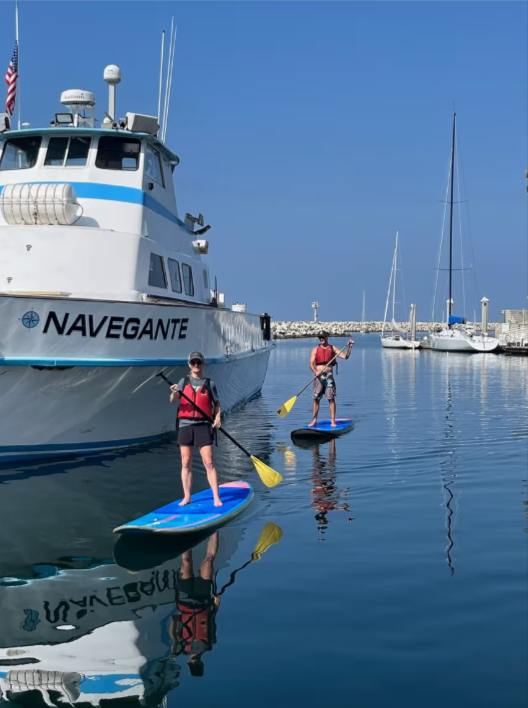 Paddleboarding in Redondo Beach (image of two paddleboarders)